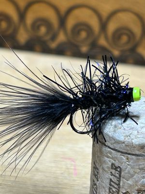 Vampire Balanced Leech. Set Of Three. Size 12. Set Of Three