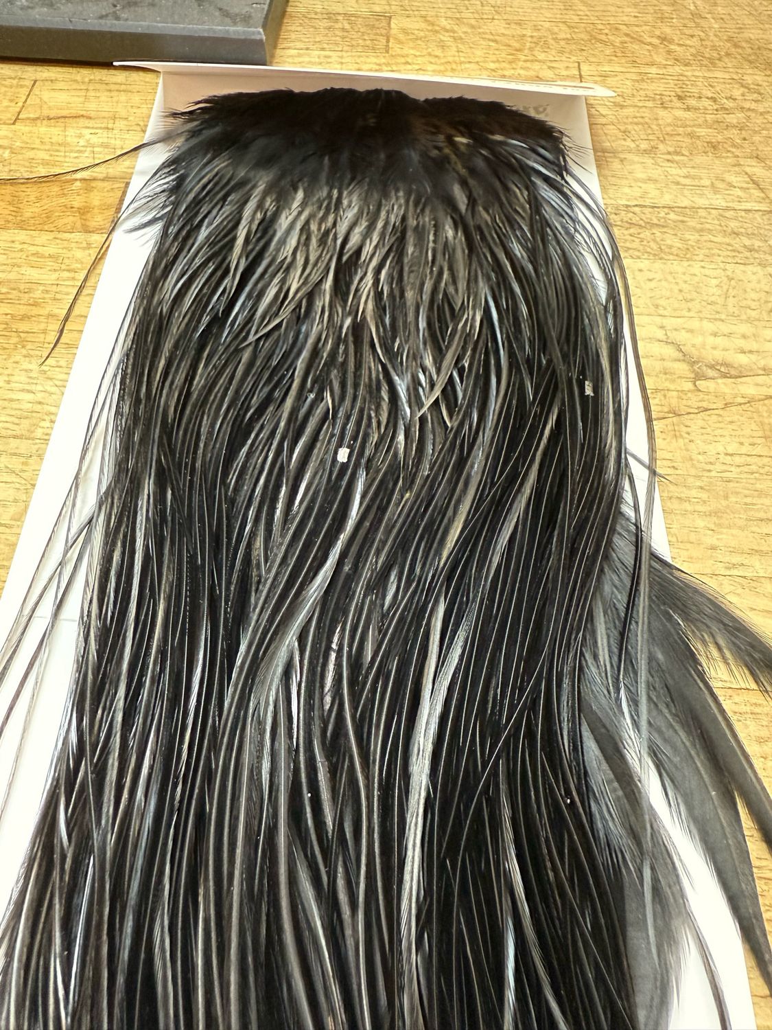 Whiting Farms Bronze Saddle Black