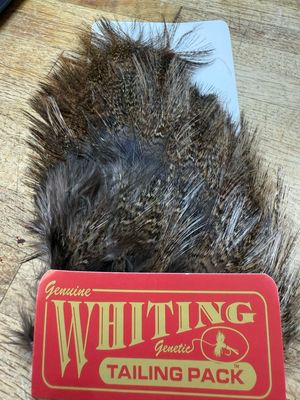 Whiting Farms Coq De Leon Tailing Pack Dark Pardo