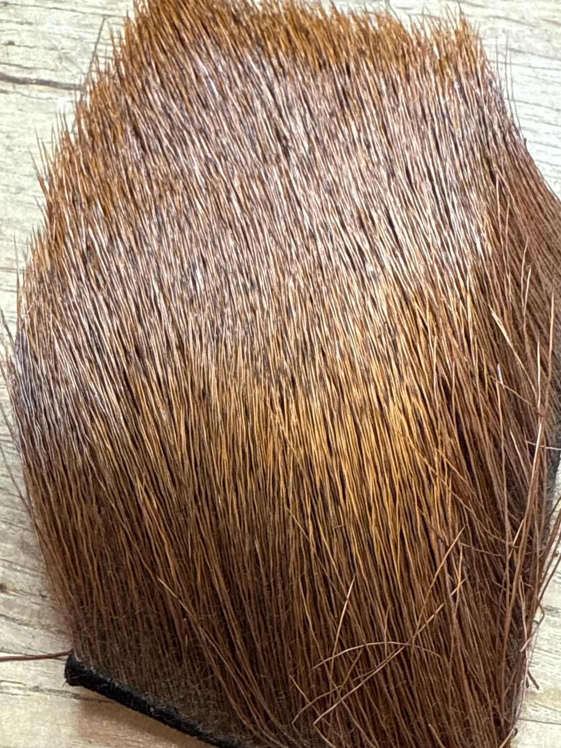 Select Cow Elk Brown