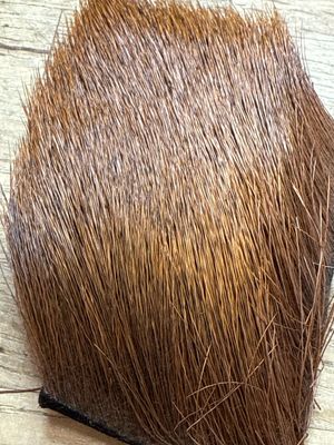 Select Cow Elk Brown