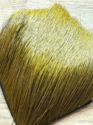 Select Cow Elk Olive