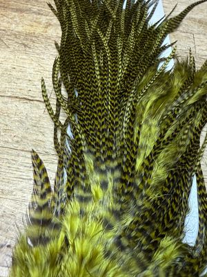 Hareline Half Grizzly Saddle Olive.