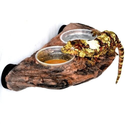 MagNaturals Gecko Feeding Ledge