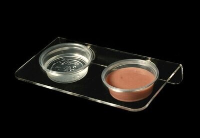 Reptile Dishes and Feeding Ledges