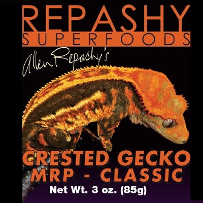 Crested Gecko CLASSIC