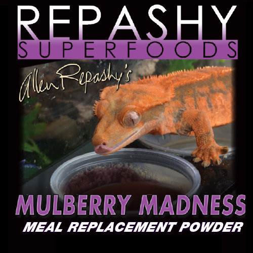 Repashy Mulberry Maddness Gecko Diet 12 oz.