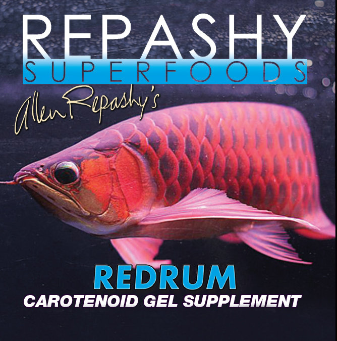 Repashy REDRUM JAR 6 oz.