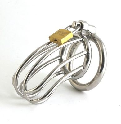 Stainless Steel Chastity (2 Cage Sizes / 3 Ring Sizes)