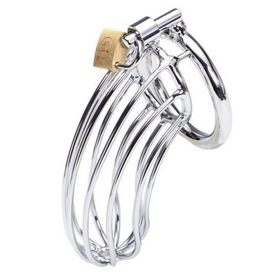 Stainless Steel Chastity (2 Cage Sizes / 3 Ring Sizes)