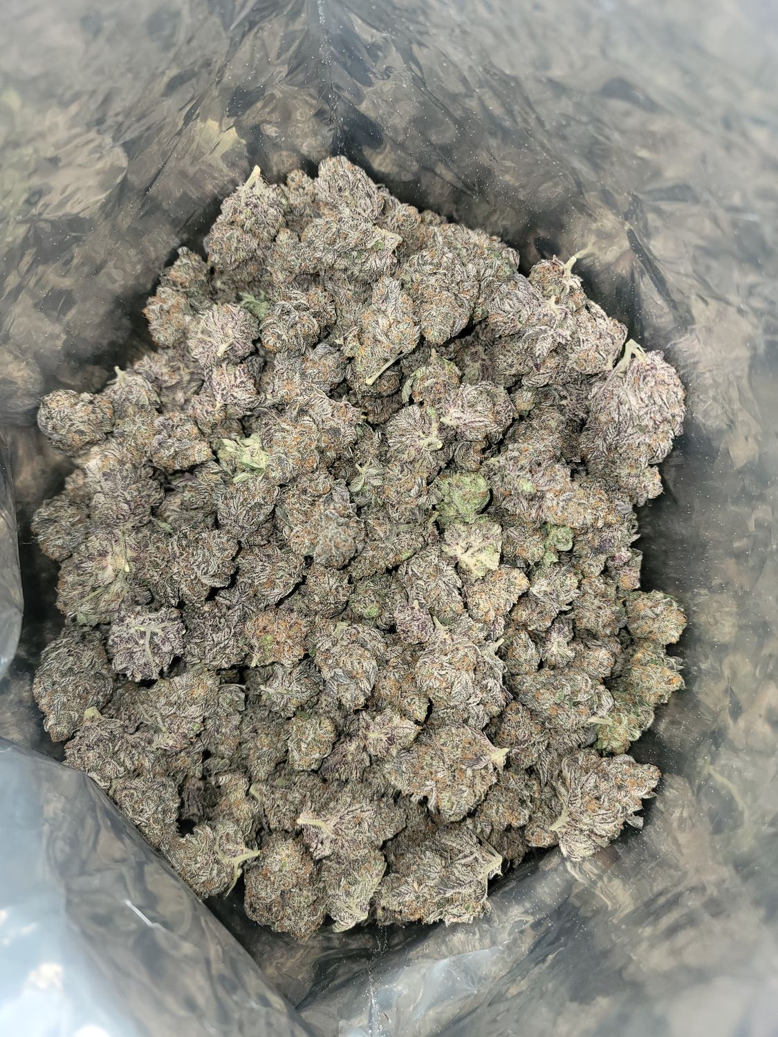 1 LB SATIVA EXOTICS THCA FLOWER - HIGHS - WHOLESALE