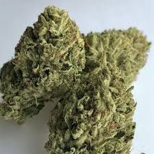 1 LB OF LOWS SATIVA FLOWER - WHOLESALE