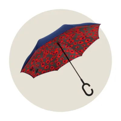 Umbrellas &amp; Rain Gear