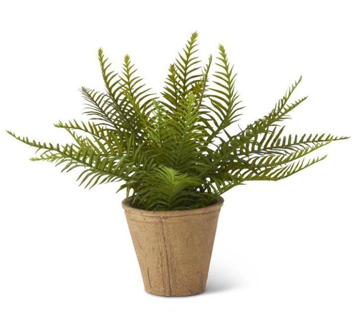17” Fern in Cement Pot