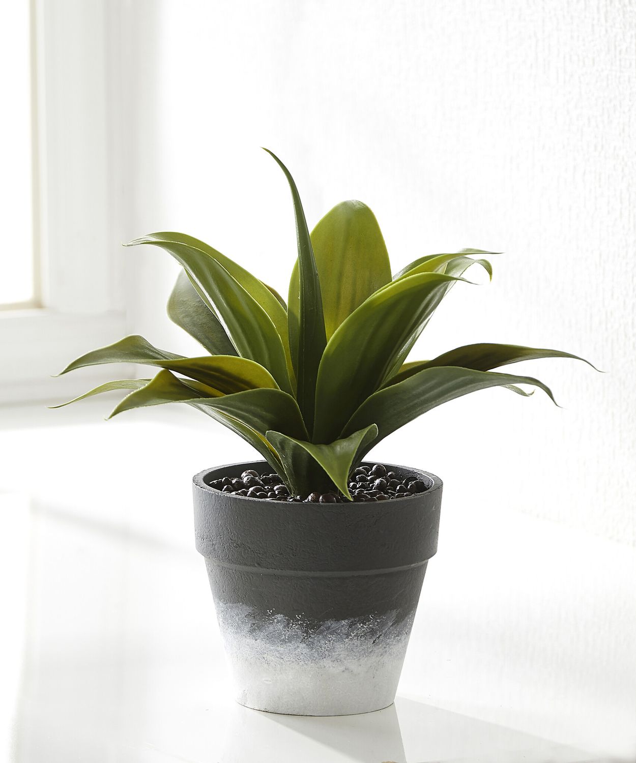 Small Decorative Plant w/ Planter