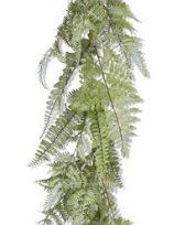 Mixed Fern Garland 60”