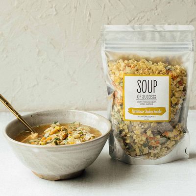 Farmhouse Chicken Noodle Soup of Success