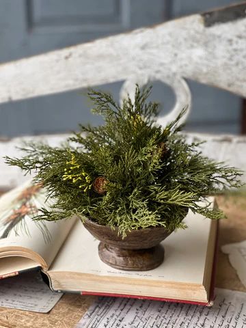 Alpine Cedar Half Sphere 11"