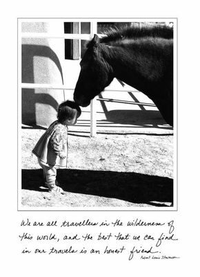 We are all travellers in the wilderness... - Friendship Card