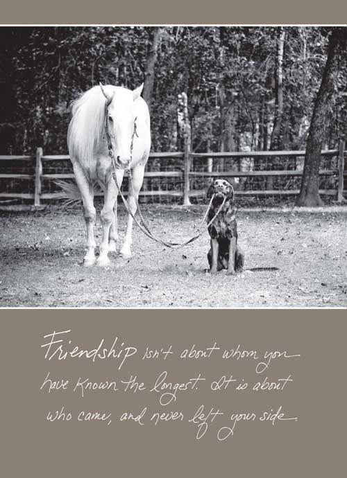 Friendship isn’t about Whom - Friendship