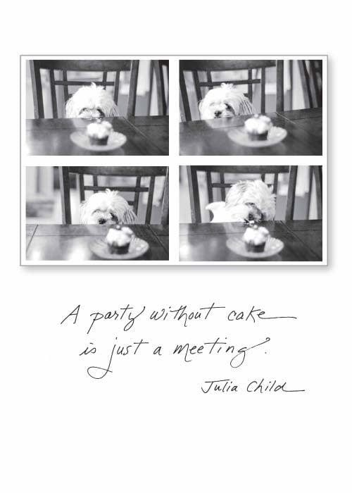 A party without cake is just a meeting. - Birthday Card