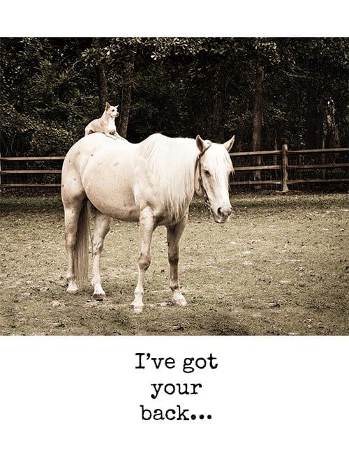 I've Got Your Back - Encouragement