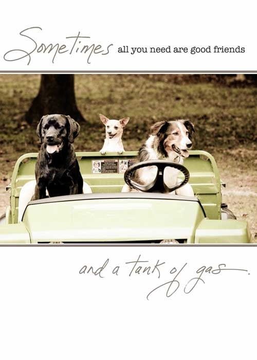 Sometimes All You Need - Birthday