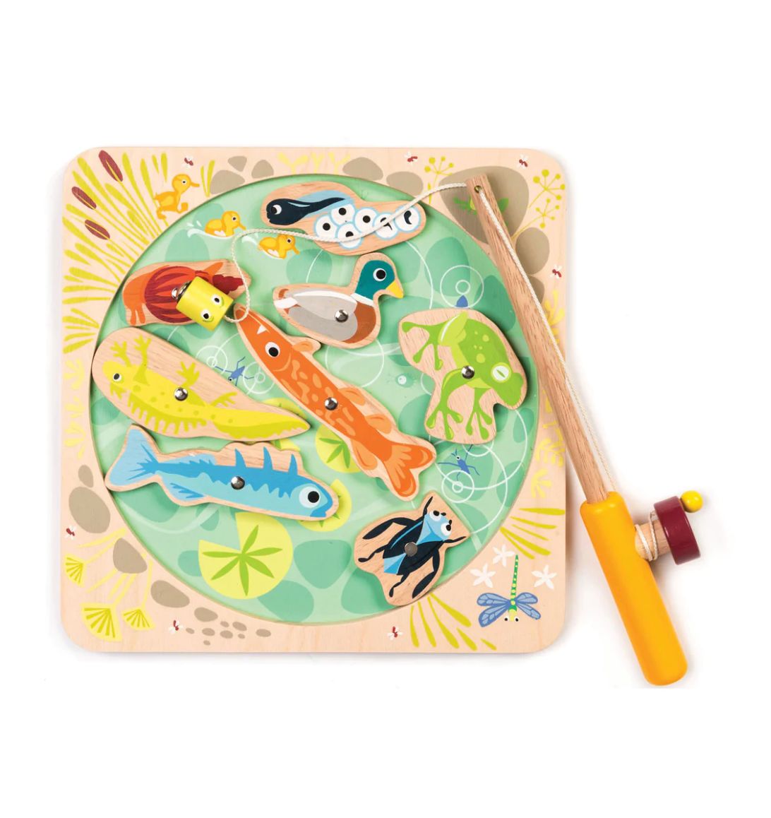 Pond Dipping