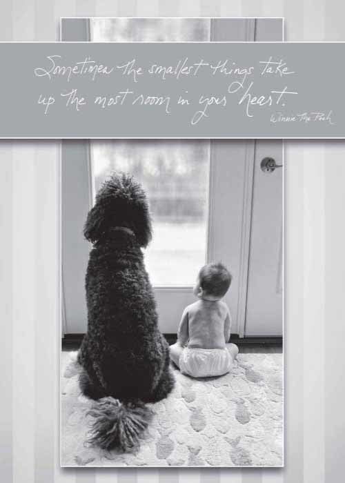 Sometimes The Smallest Things - New Baby