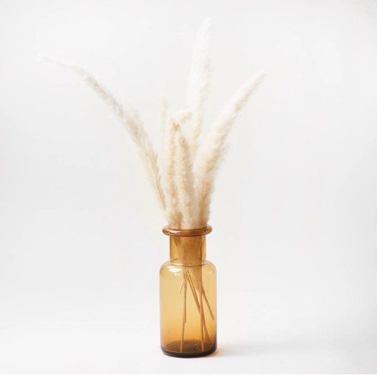 Amber Bottle 8"