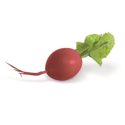 6 Piece 3.5" Red Radishes