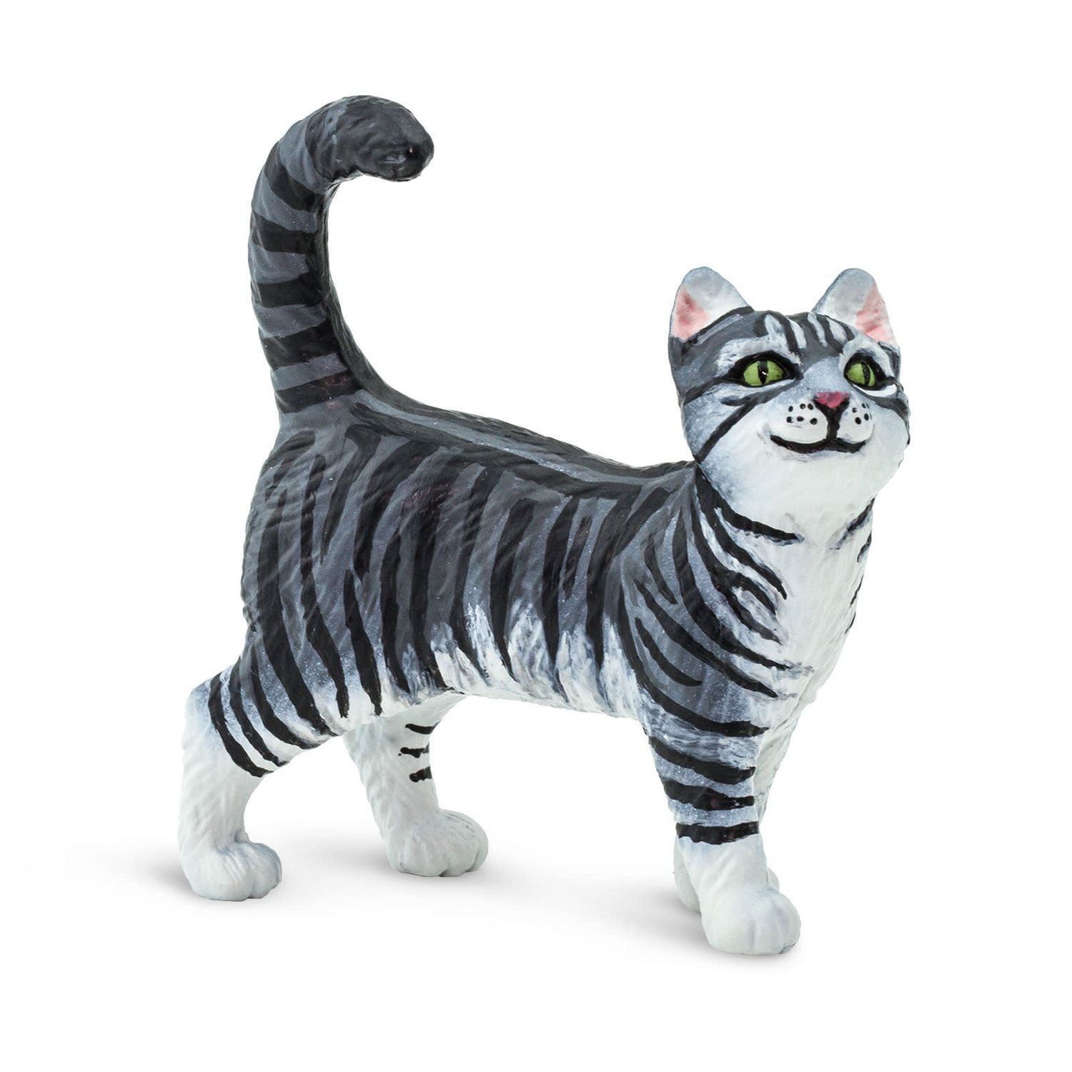 Gray Tabby Cat