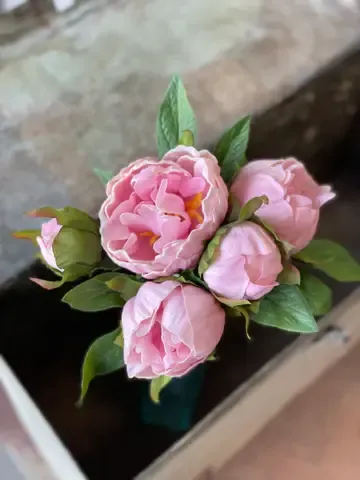 Peony Bundle 11” Pink