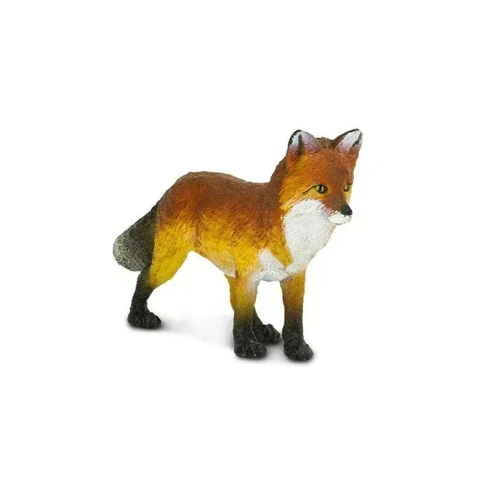 Fox