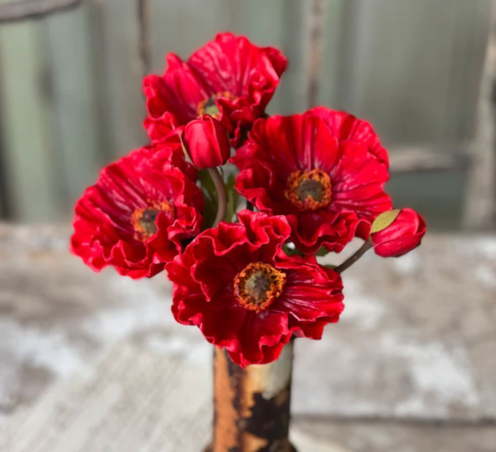 Poppy Bundle Scarlet 13"