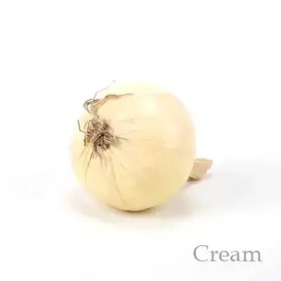 Artificial Faux White Onion 3”