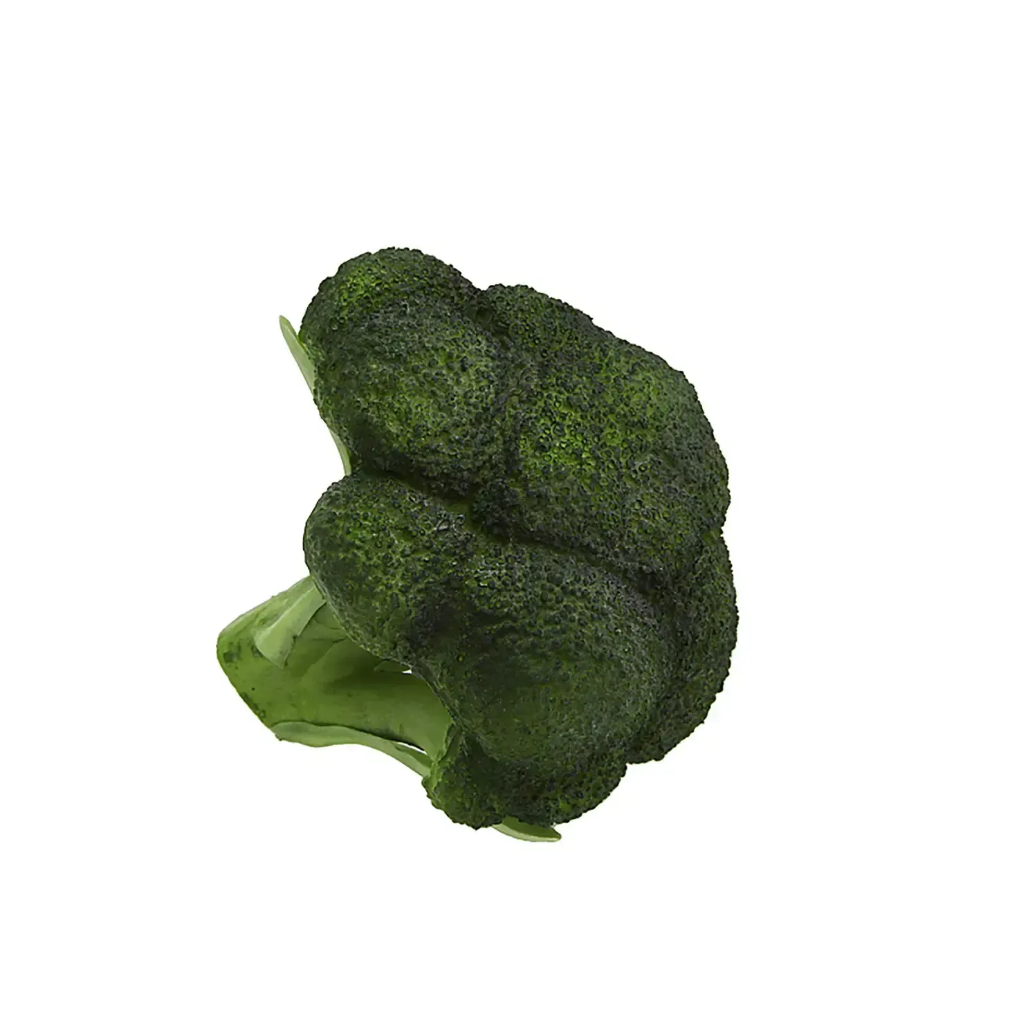 Artificial Faux Broccoli 5”