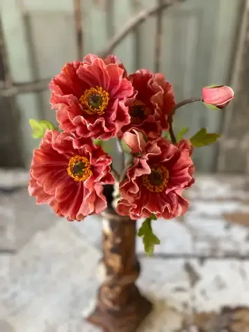 Poppy Bundle Ginger 13”