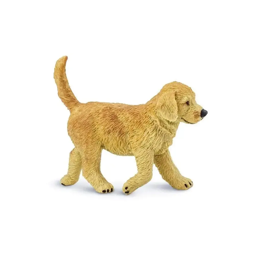 Golden Retriever Puppy