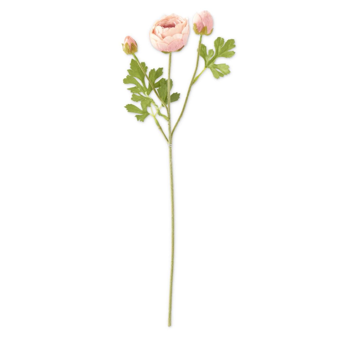 Light Pink 3 Head Real Touch Ranunculus Stem 21”