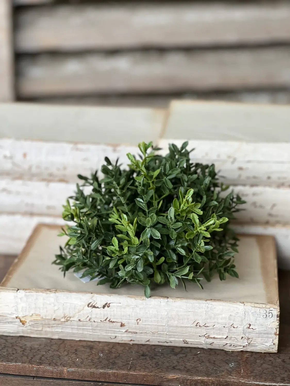 New England Realistic Boxwood Half Sphere 7”