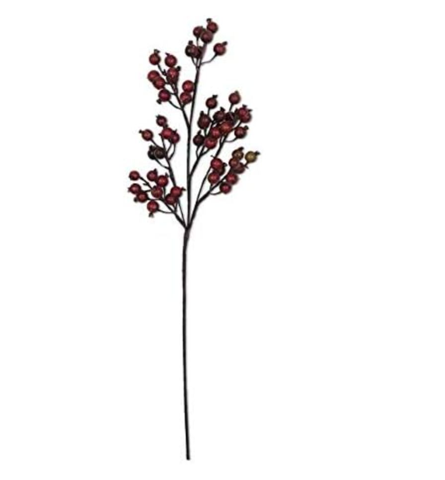 Crab Apple Stem 32”
