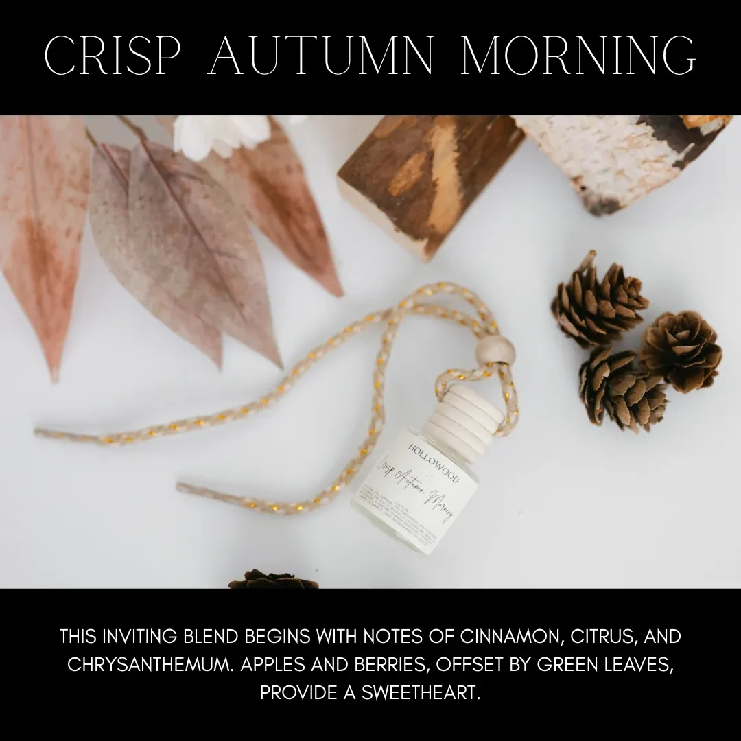 Autumn Car Diffuser Air Freshner Crisp Autumn Morning