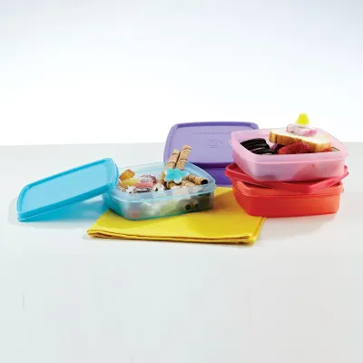 Smart and Slim Lunch Container 5.5" x 5"