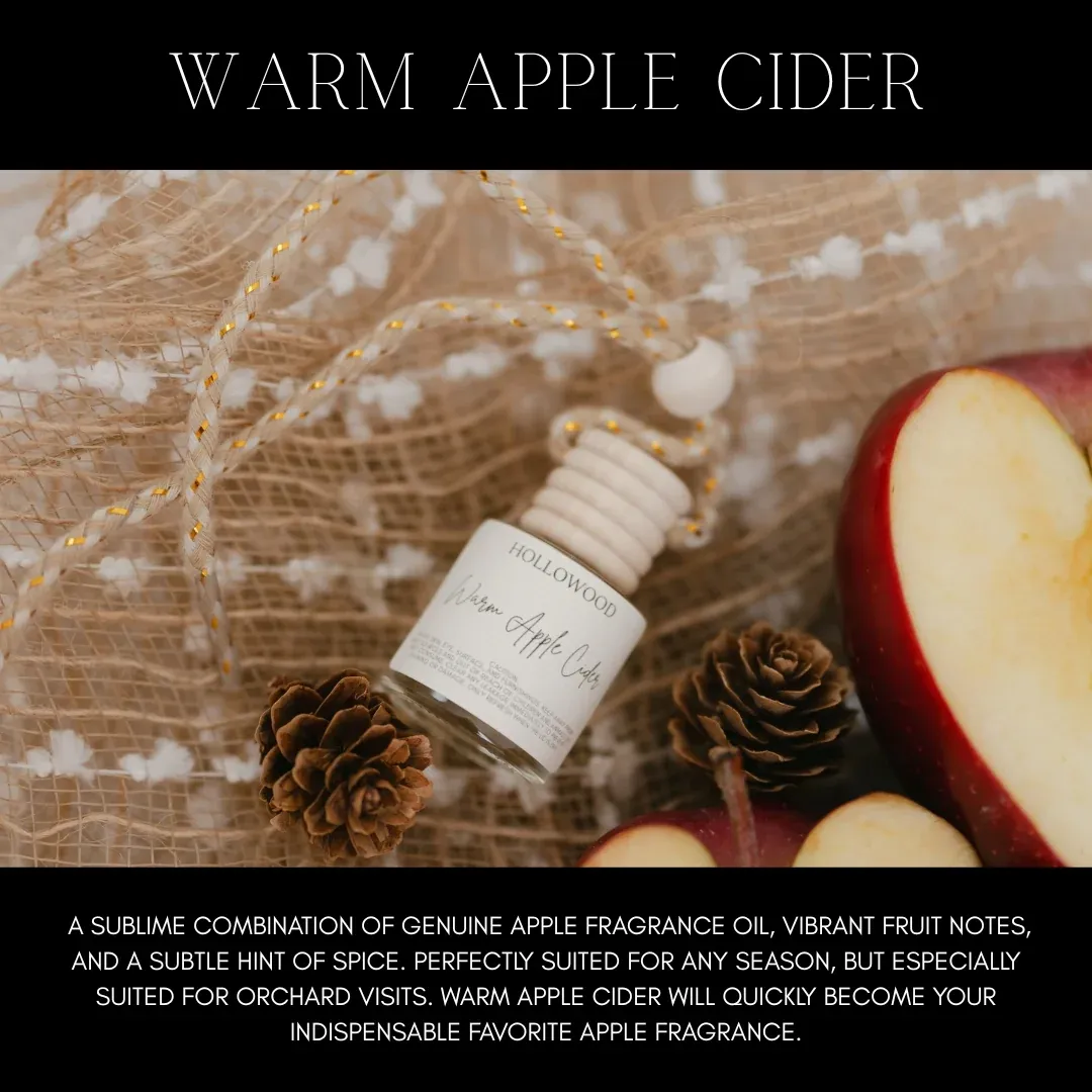 Autumn Car Diffuser Air Freshner Warm Apple Cider