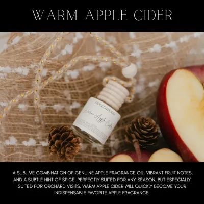 Autumn Car Diffuser Air Freshner Warm Apple Cider