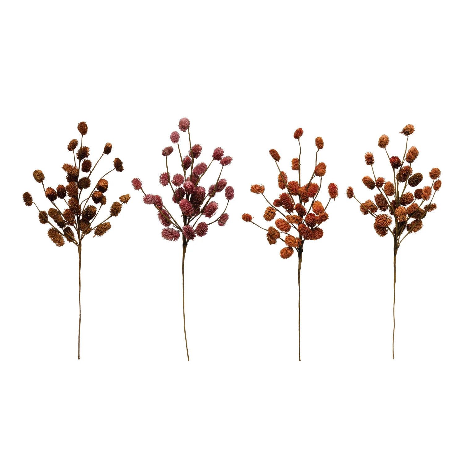 Clearance Dried Natural Thistle Pick 16.75” - Assorted Colors
