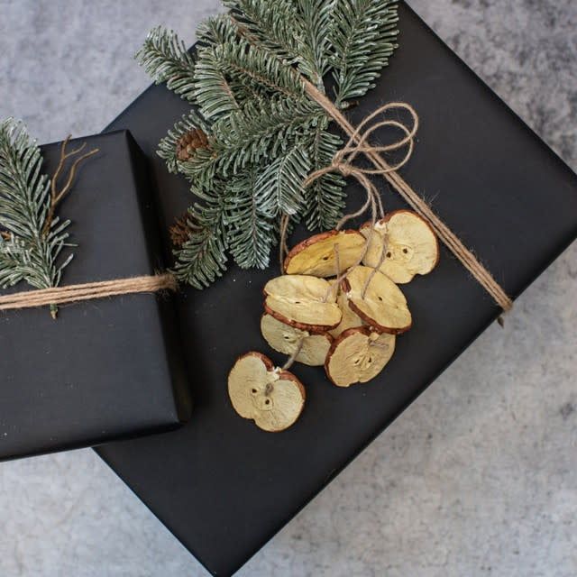 Apple Slice Hanging Ornament 12”