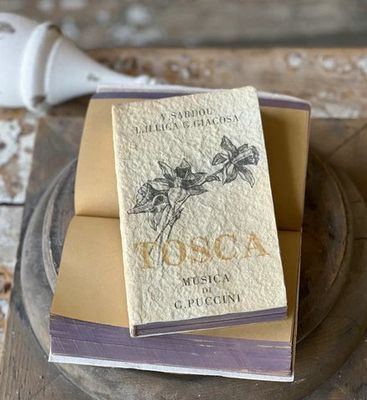 Novel Notes | Tosca