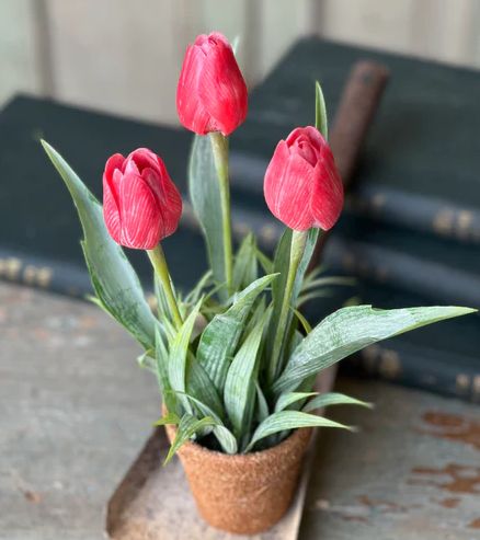 Holland Tulip Pot Red 12”